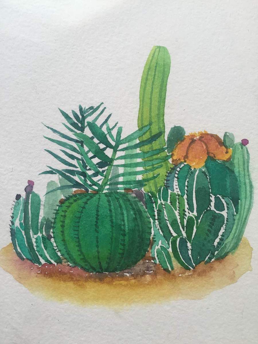一组小仙人掌的绘画习作|插画|创作习作|imagingcong - 原创作品