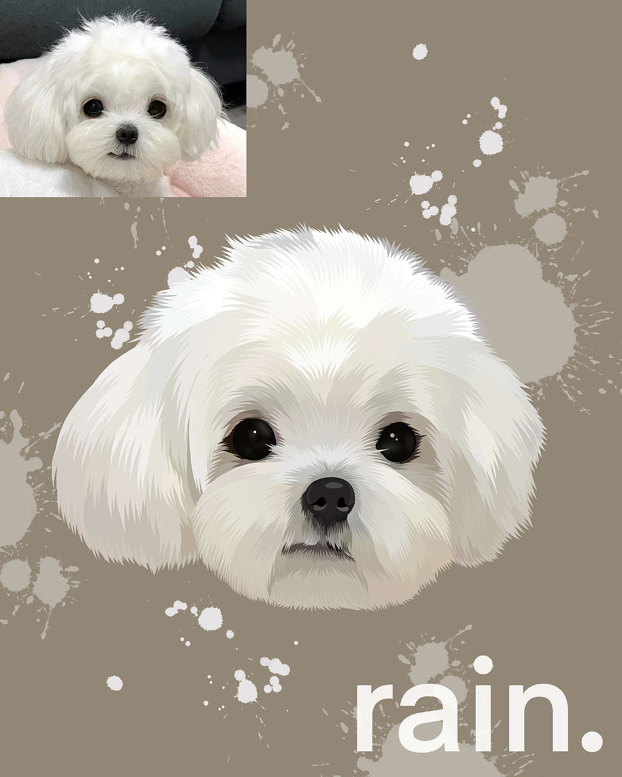 宠物画像定制｜宠物周边（图ZMzc0MjIwODMy） - 商业插画 - 站酷设计师SSSSnake_原创素材 - 站酷ZCOOL