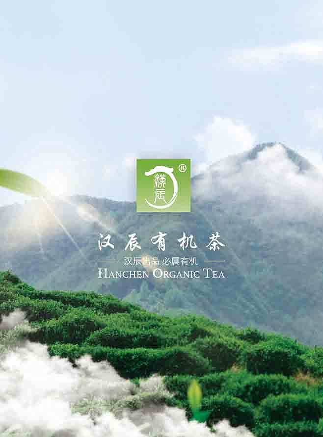 展板设计-汉辰香港展会