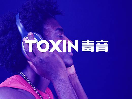 毒音品牌设计/品牌升级/科技品牌