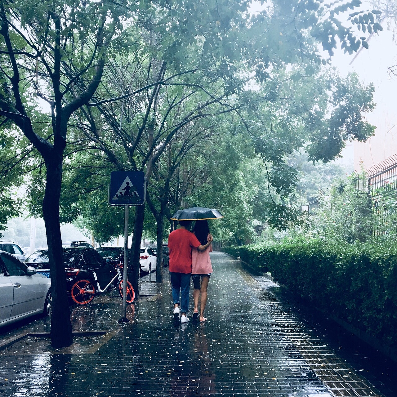 雨中（图ZMTI0ODI1OTI4） - 风光摄影 - 站酷设计师仰天大笑出门去3原创素材 - 站酷ZCOOL