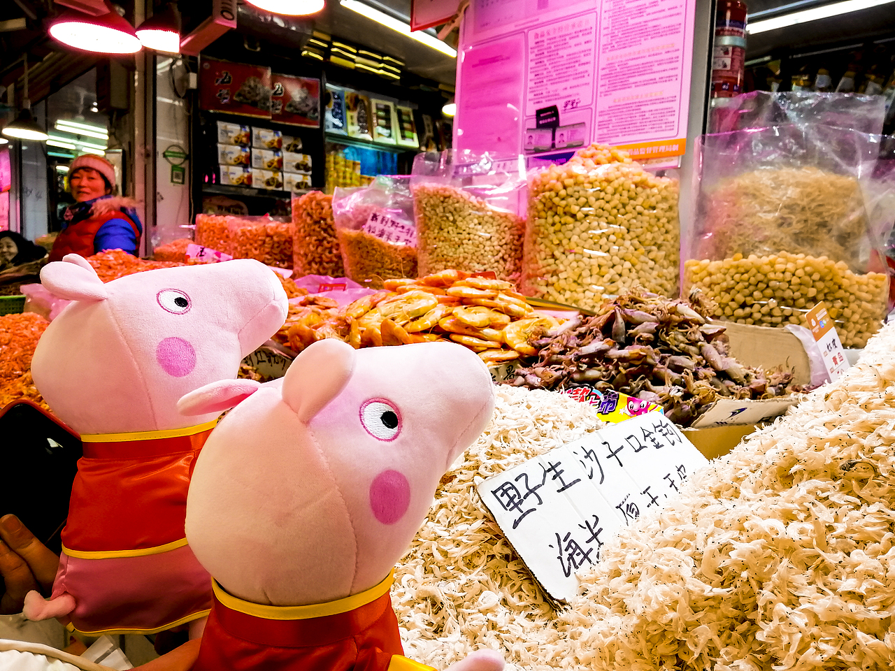 佩奇爱情故事——青岛站（图ZMTQ0MzY3ODY0） - 人文/纪实摄影 - 站酷设计师山谷子原创素材 - 站酷ZCOOL