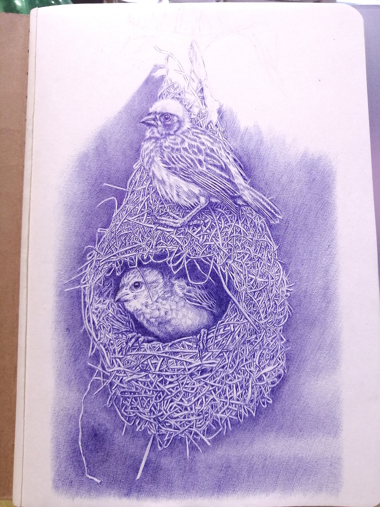 老男孩圆珠笔画《窝居》