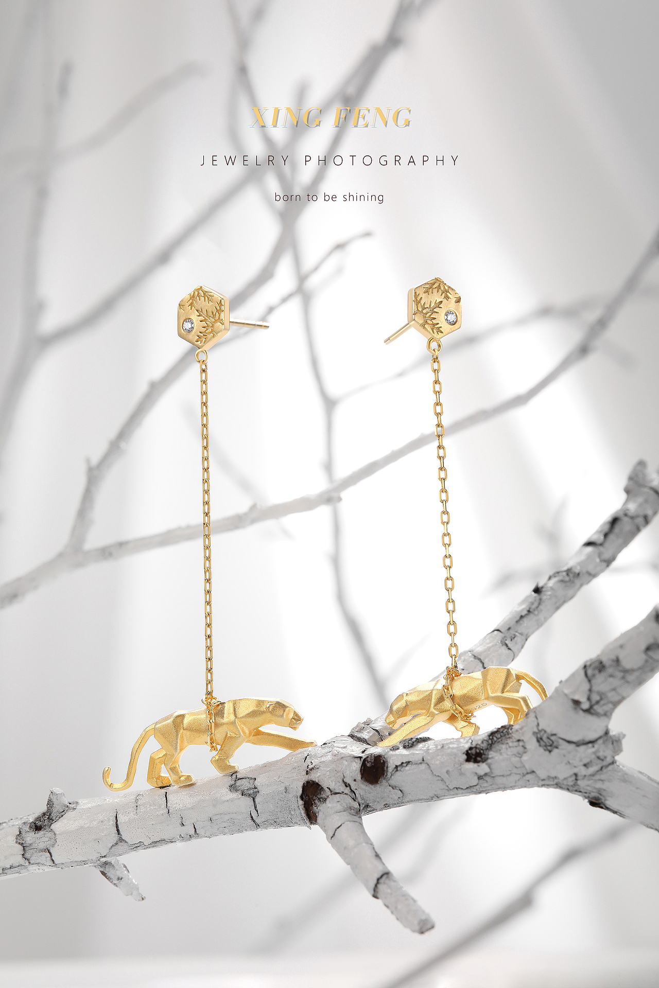 2022 珠宝饰品拍摄_雪中生灵（图ZMzA4Njc1ODAw） - 产品摄影 - 站酷设计师醒风传媒原创素材 - 站酷ZCOOL