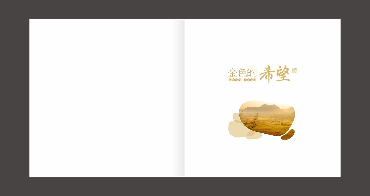 金色的希望 乡镇 画册（图ZMzYzNTc3ODQ=） - 书籍/画册 - 站酷设计师fxy216ccc原创素材 - 站酷ZCOOL
