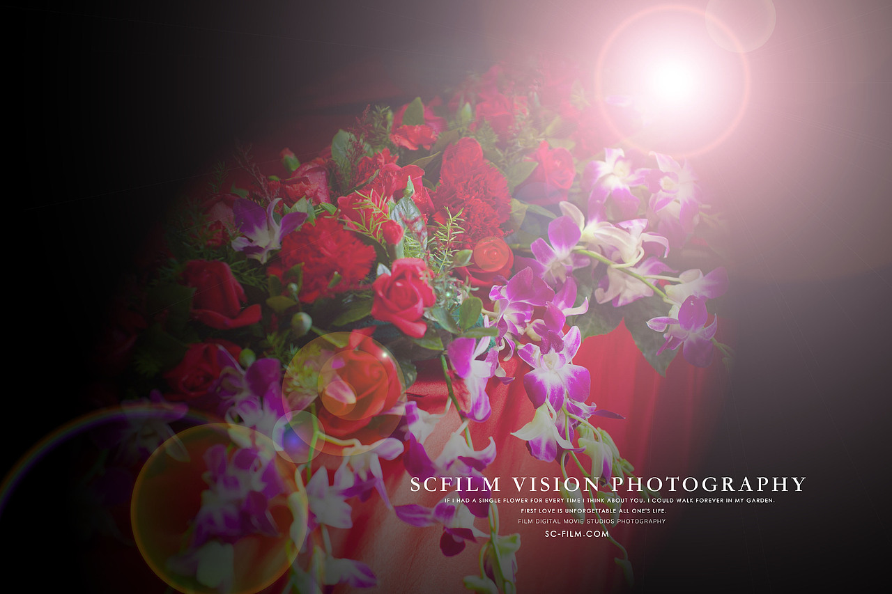 January 6, 2017 photography