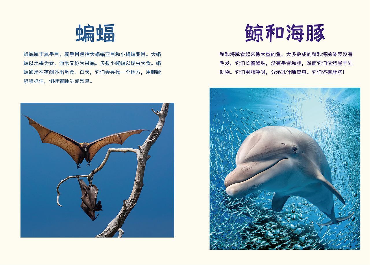 个人练习作品集（图ZMjgxOTQxNDc2） - 海报 - 站酷设计师丝安三原创素材 - 站酷ZCOOL