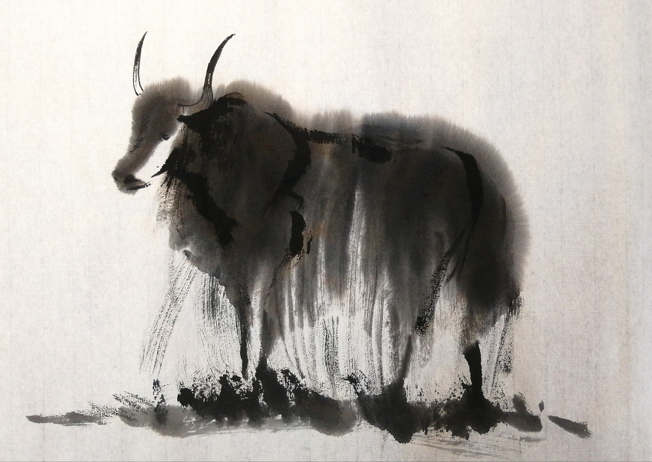藏式野牦牛画图片