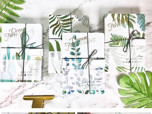 《素植》北欧绿植——小美马