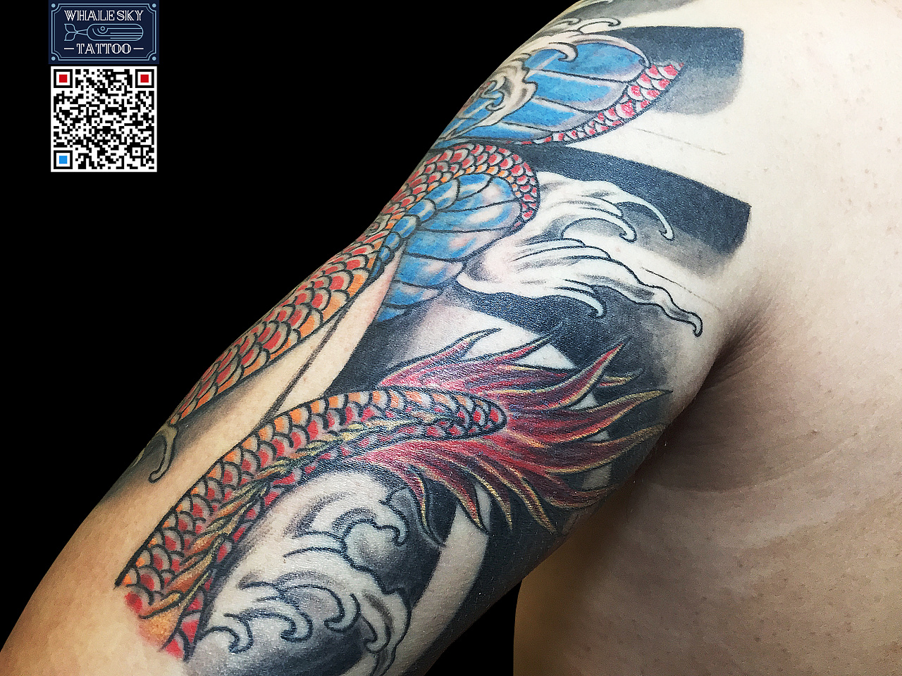 传统彩色半甲龙(全)