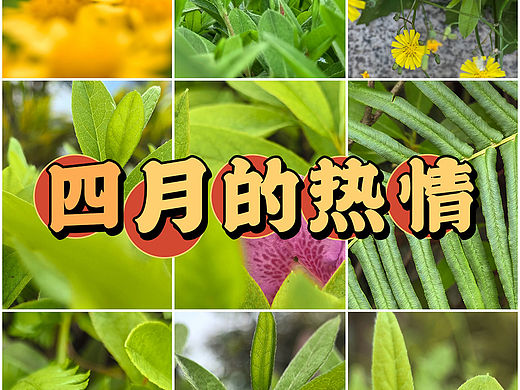 四月有趣有盼，热爱生活，才是春天的正确打开方式