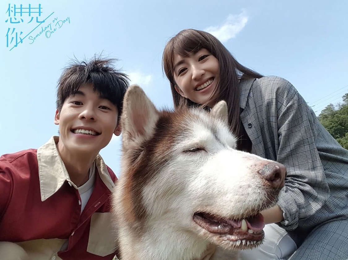 2020.2.26--最近喜欢的韩剧海报