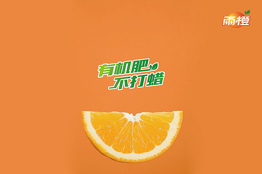 【雨橙】橙子品牌标志设计（图ZMzk5MDMyMjg=） - 品牌 - 站酷设计师徐羊飞原创素材 - 站酷ZCOOL