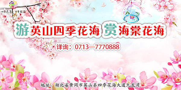 信息流广告（图ZMTUzMzQwNzc2） - 宣传物料 - 站酷设计师高文秀原创素材 - 站酷ZCOOL