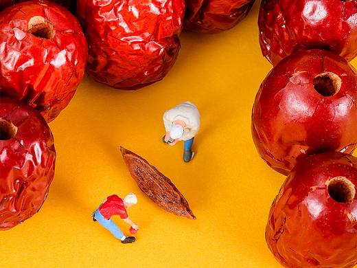 衍射视觉✖️寰宇小鲜肉红枣