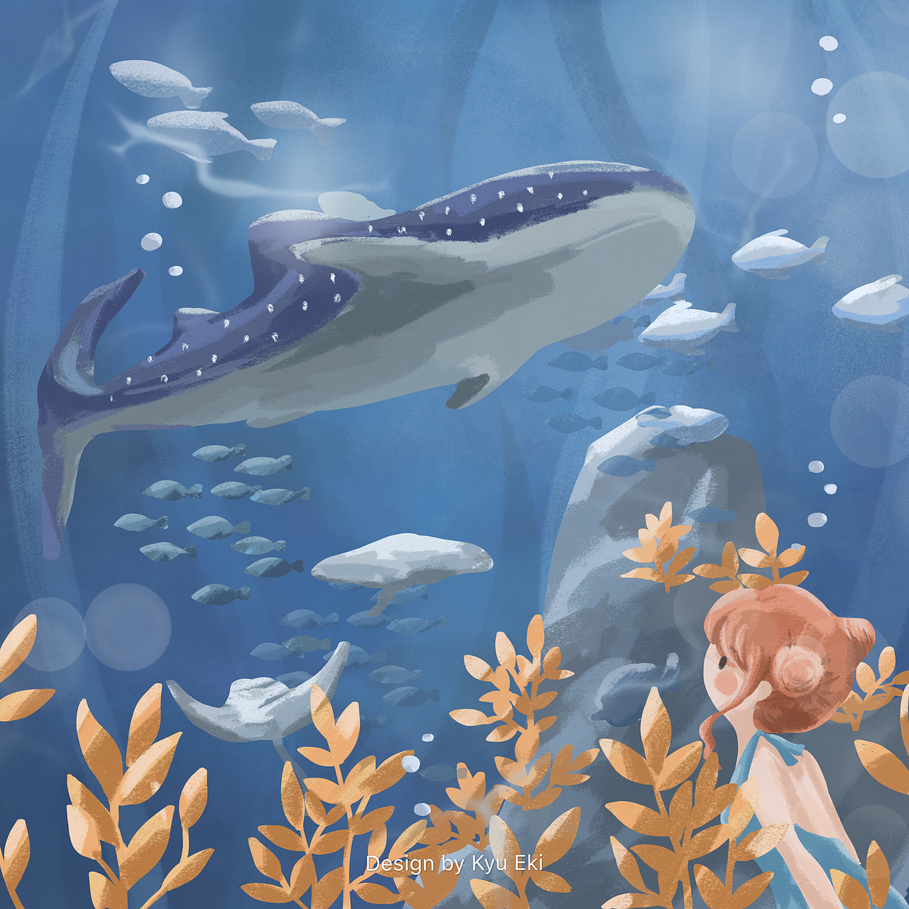 海洋系列|插画|儿童插画|kyueki_原创作品-站酷zcool