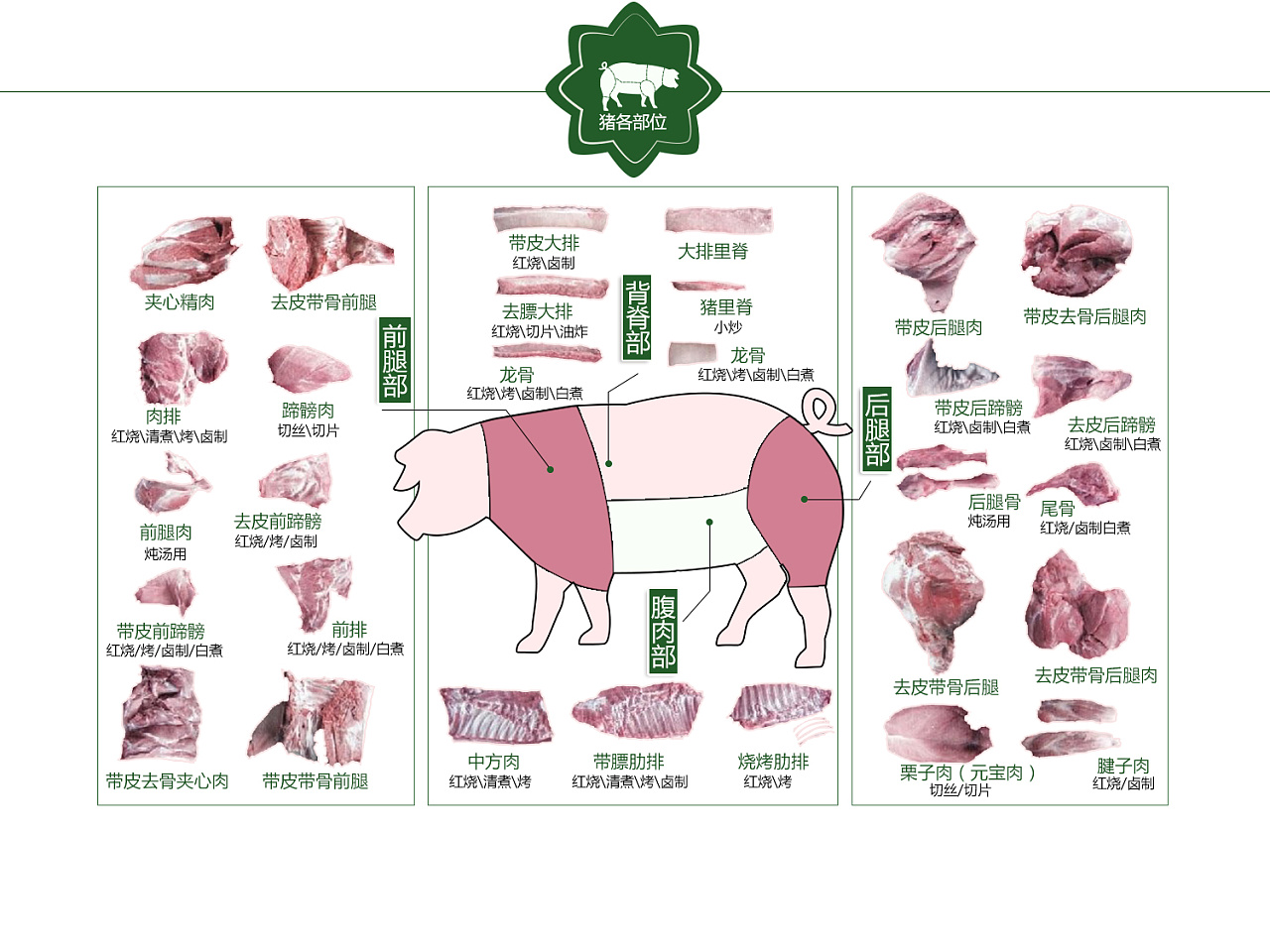 猪肉不同部位图图片
