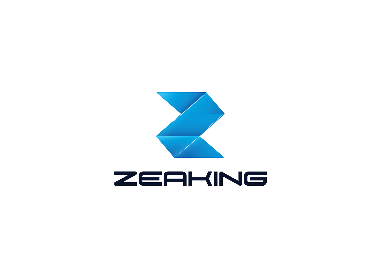 ZEAKING_品牌形象