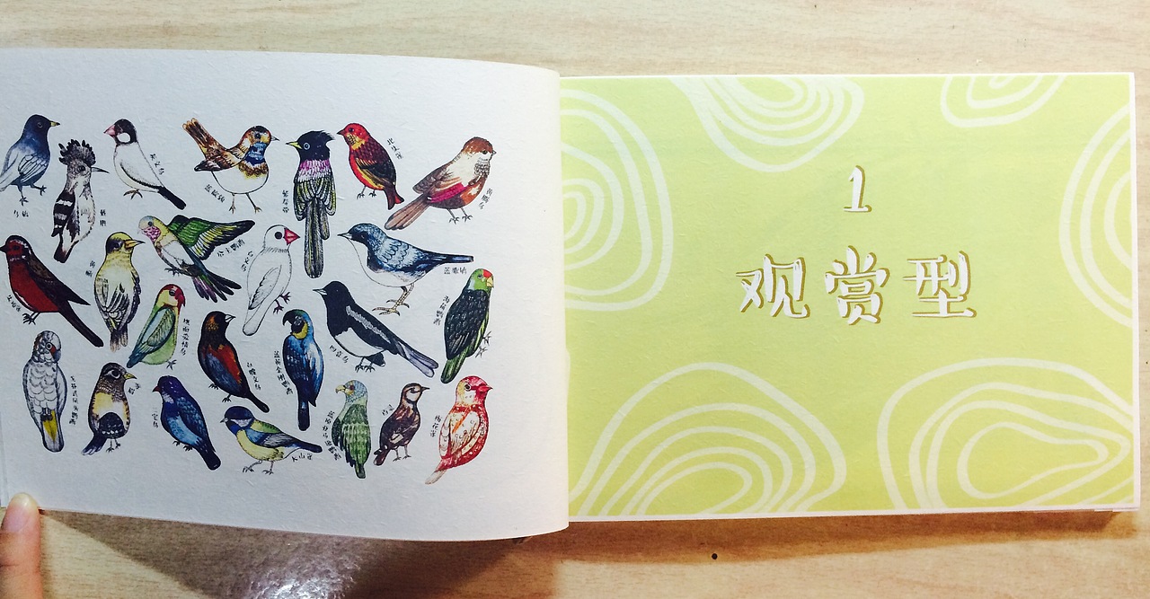 《惜鸟集》书籍设计（图ZMzczMzY4NTI=） - 书籍/画册 - 站酷设计师JANICEYANG原创素材 - 站酷ZCOOL