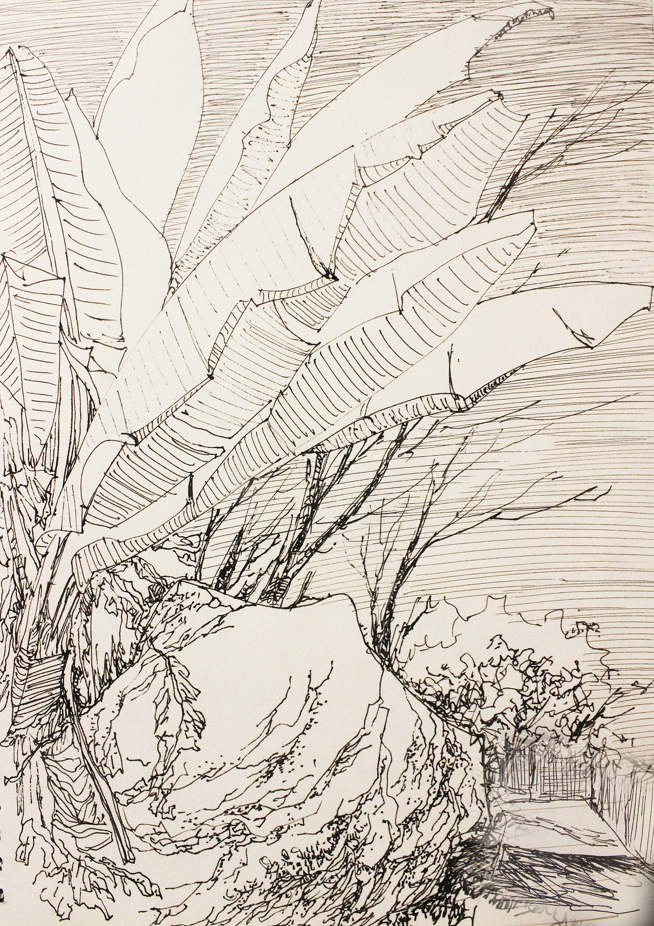 风景速写 之岚皋