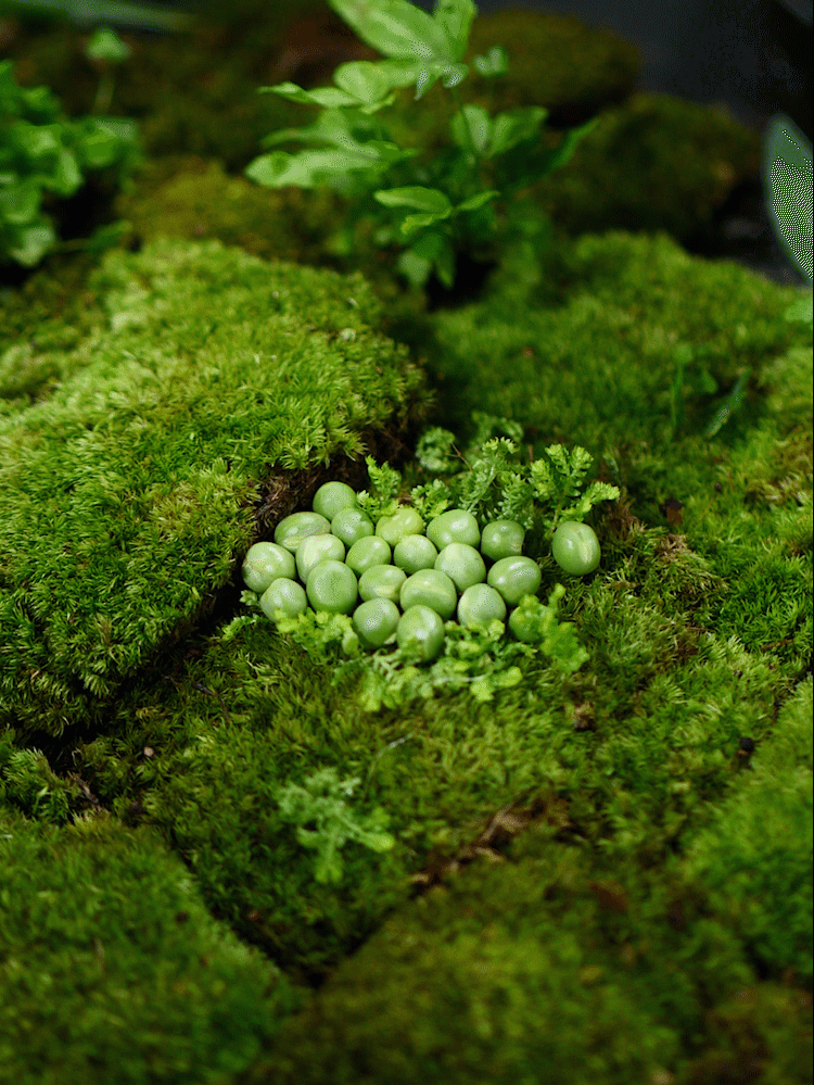 2019年最后一考重磅来袭