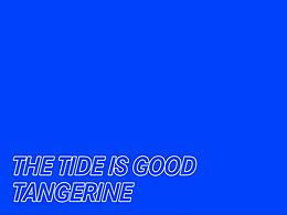 包裝案例-化橘紅