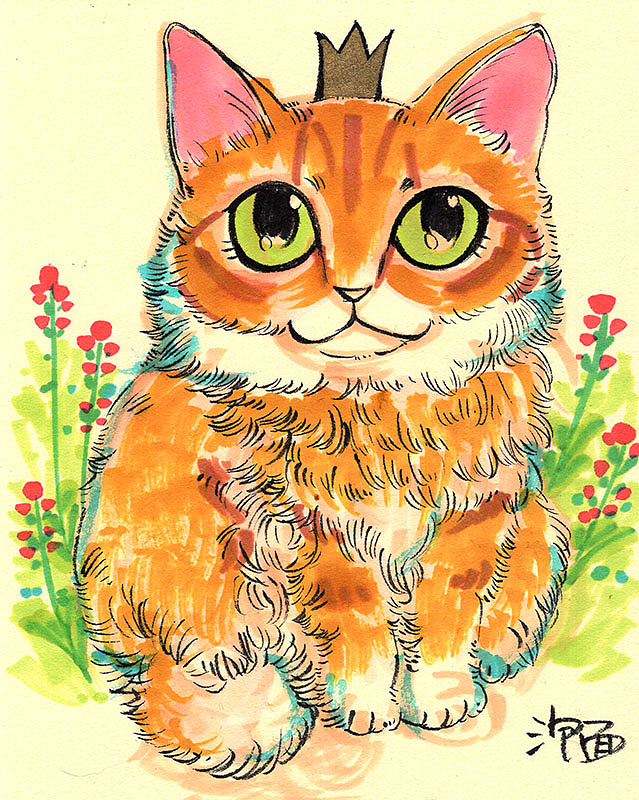 猫们~~