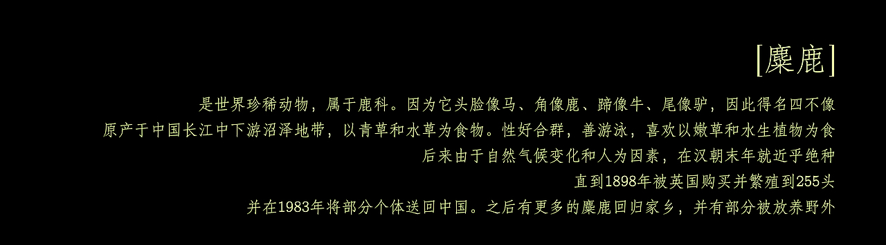 【在cdf发现环保之美】—生命之鹿（图ZMjgwODkwMDg0） - 海报 - 站酷设计师花花大王happy原创素材 - 站酷ZCOOL