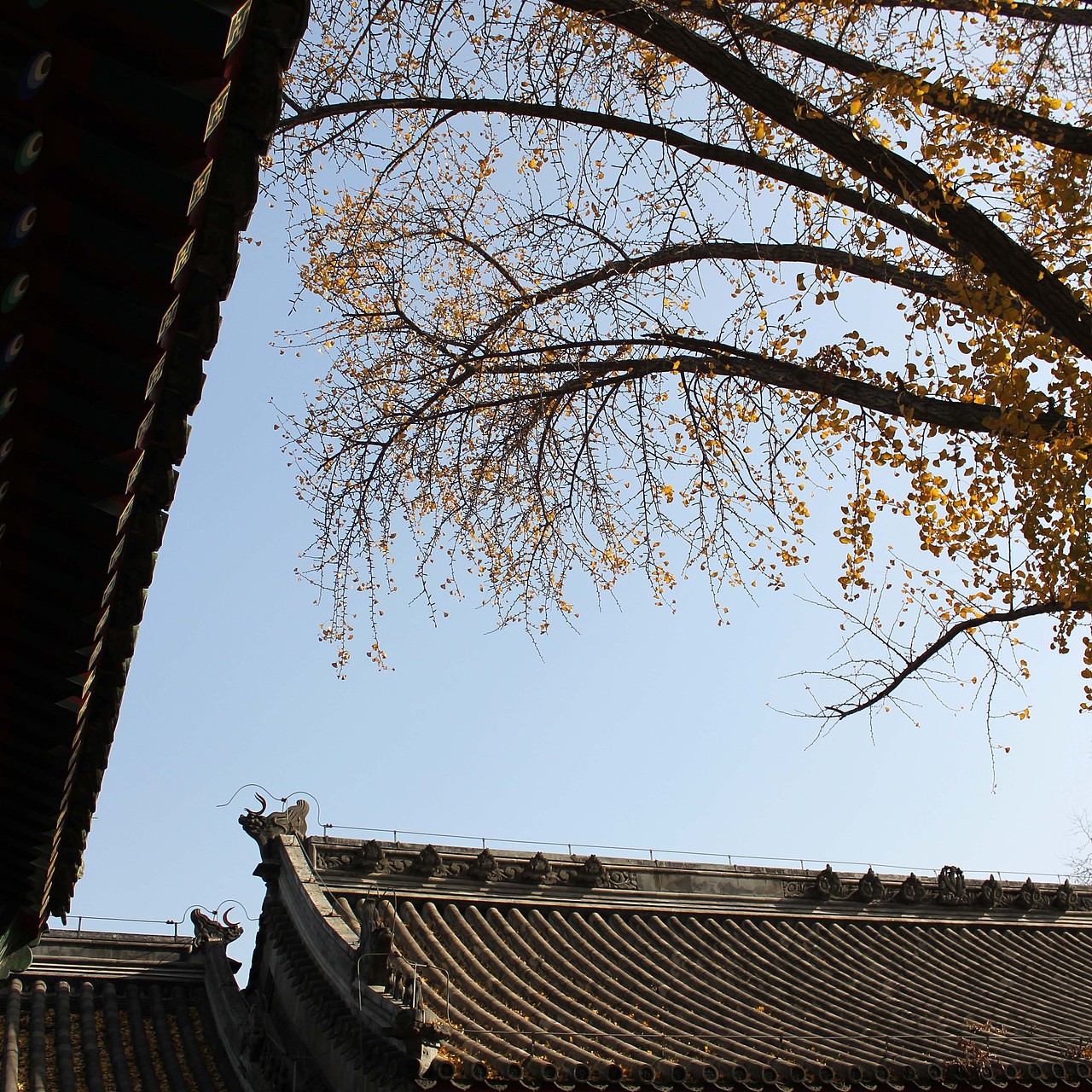 古建筑摄影（图ZMjExMDUzMzQ0） - 环境/建筑摄影 - 站酷设计师小敬阳原创素材 - 站酷ZCOOL