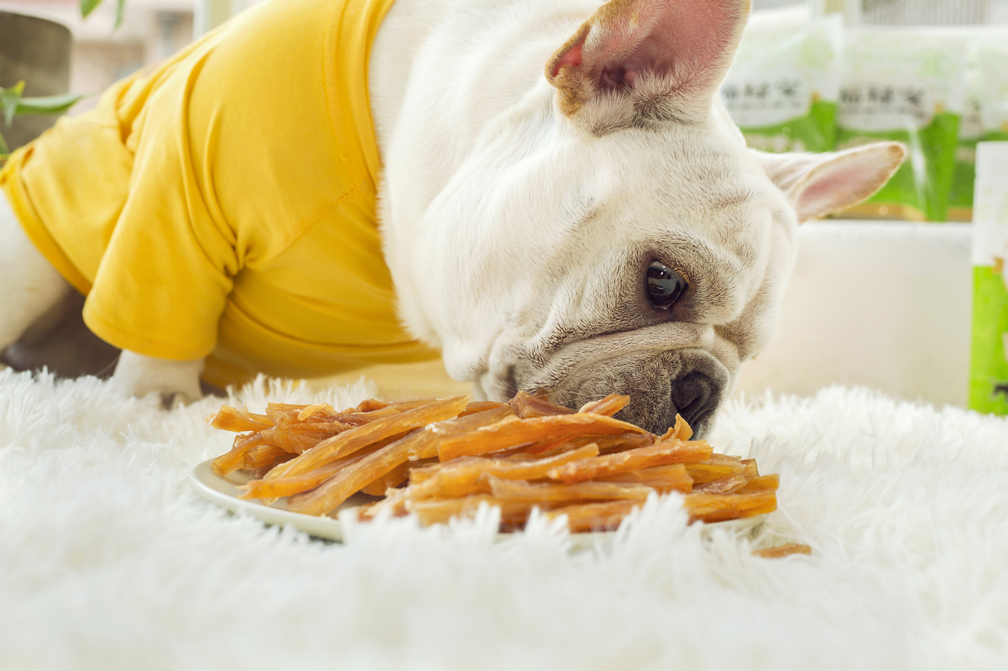 自制狗零食-胡萝卜鸡肉条，绿色健康无添加！