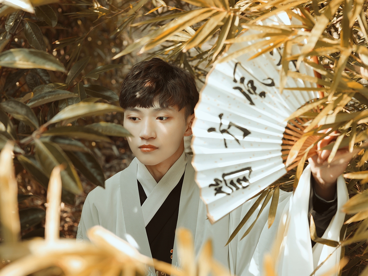 “秋风起兮白云飞，草木黄落兮雁南归”（图ZMTg1NTMwNzA4） - 人像摄影 - 站酷设计师笥方风霖原创素材 - 站酷ZCOOL