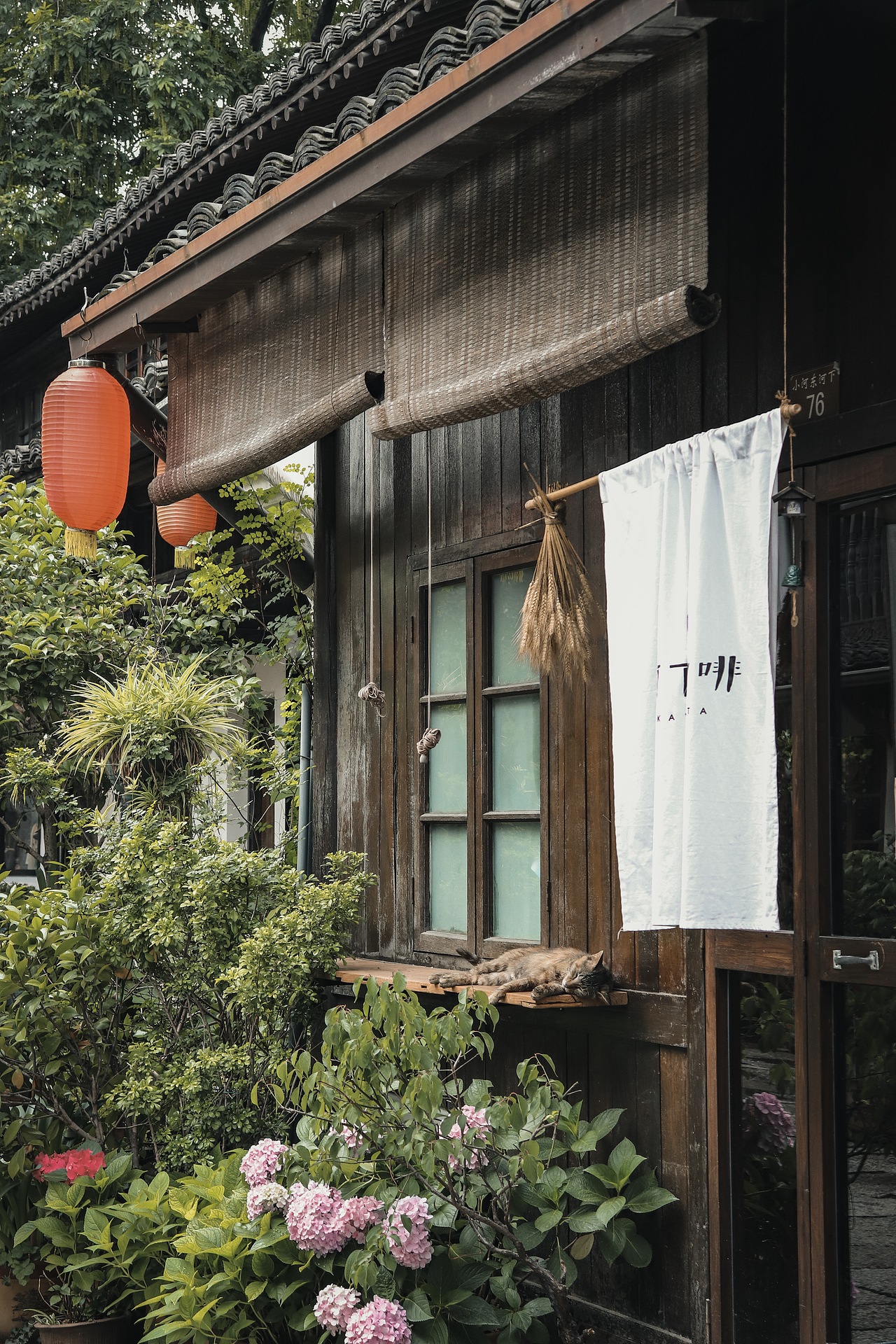 杭州小河直街 | 古朴的夏天（图ZMjEwNzY3NjI4） - 风光摄影 - 站酷设计师林弋然原创素材 - 站酷ZCOOL