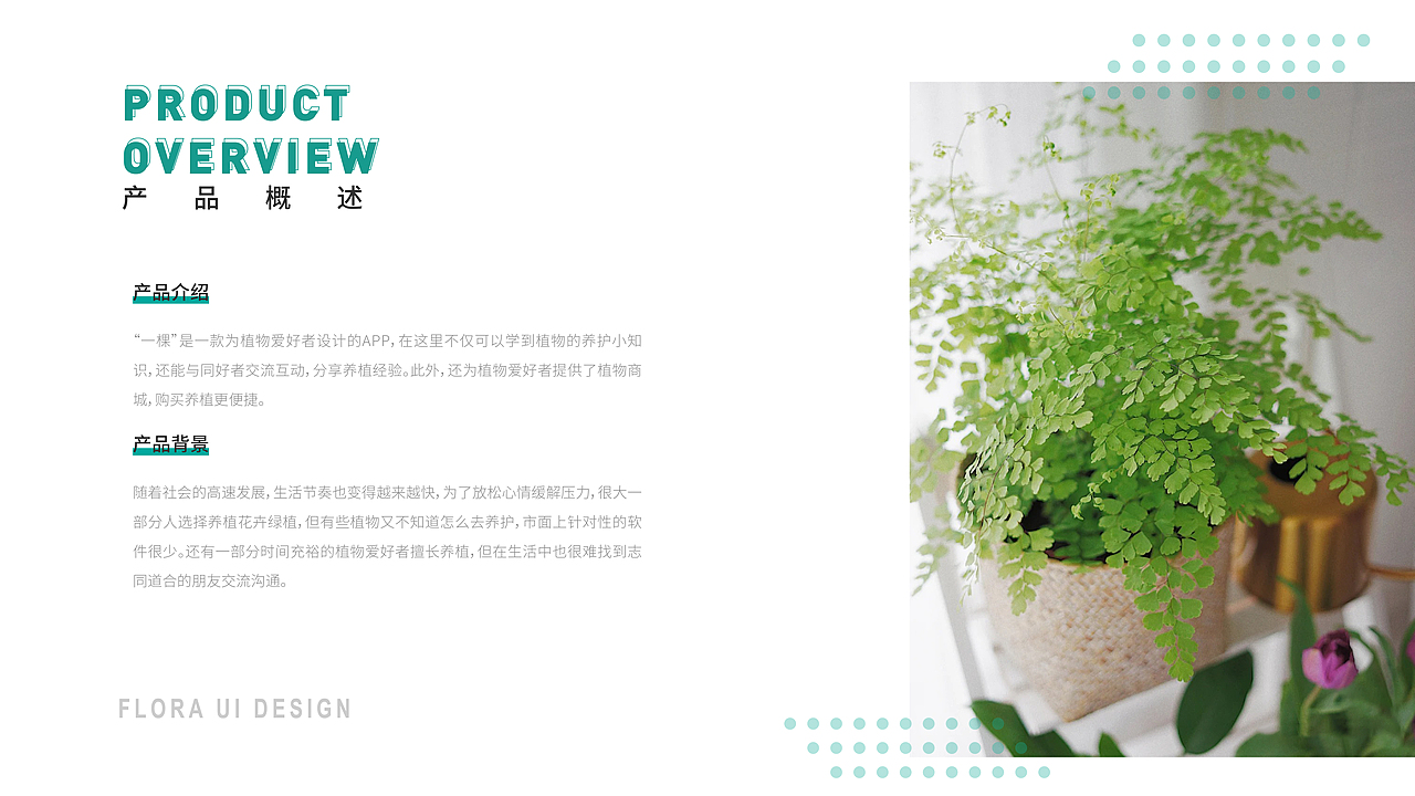 一棵 | 轻社交 植物养护APP（图ZMjczNTIzNDQw） - APP界面 - 站酷设计师不加糖丫原创素材 - 站酷ZCOOL