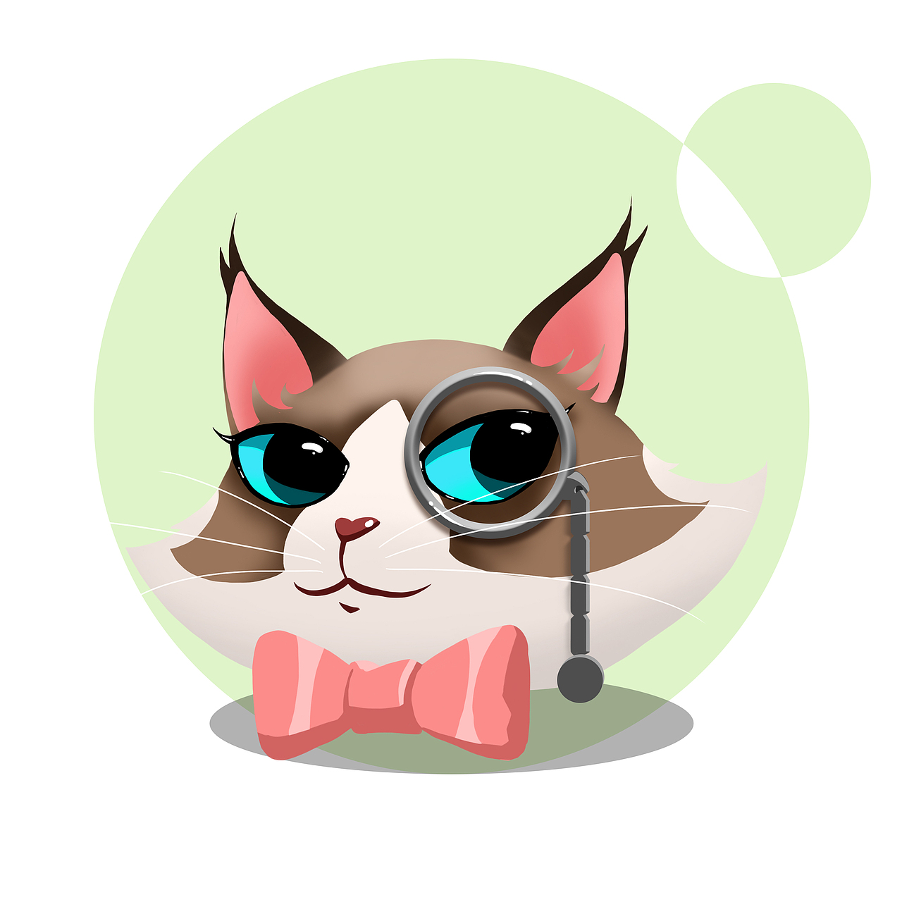 猫咪系列布偶猫