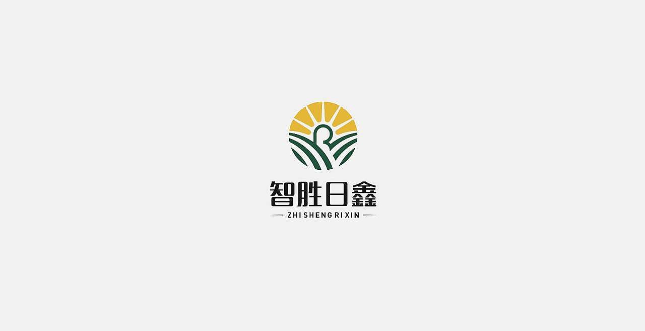 珠海市智胜日鑫健康产业科技有限公司品牌设计