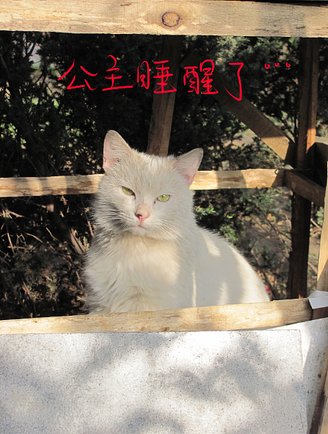 我结交了一群新朋友（图ZMjc2MjE0MDA=） - 文案/策划 - 站酷设计师画师x如也原创素材 - 站酷ZCOOL