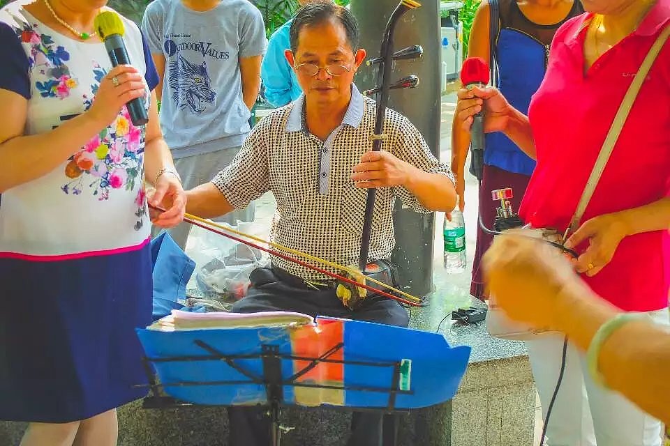 花儿红红,叶儿绿绿