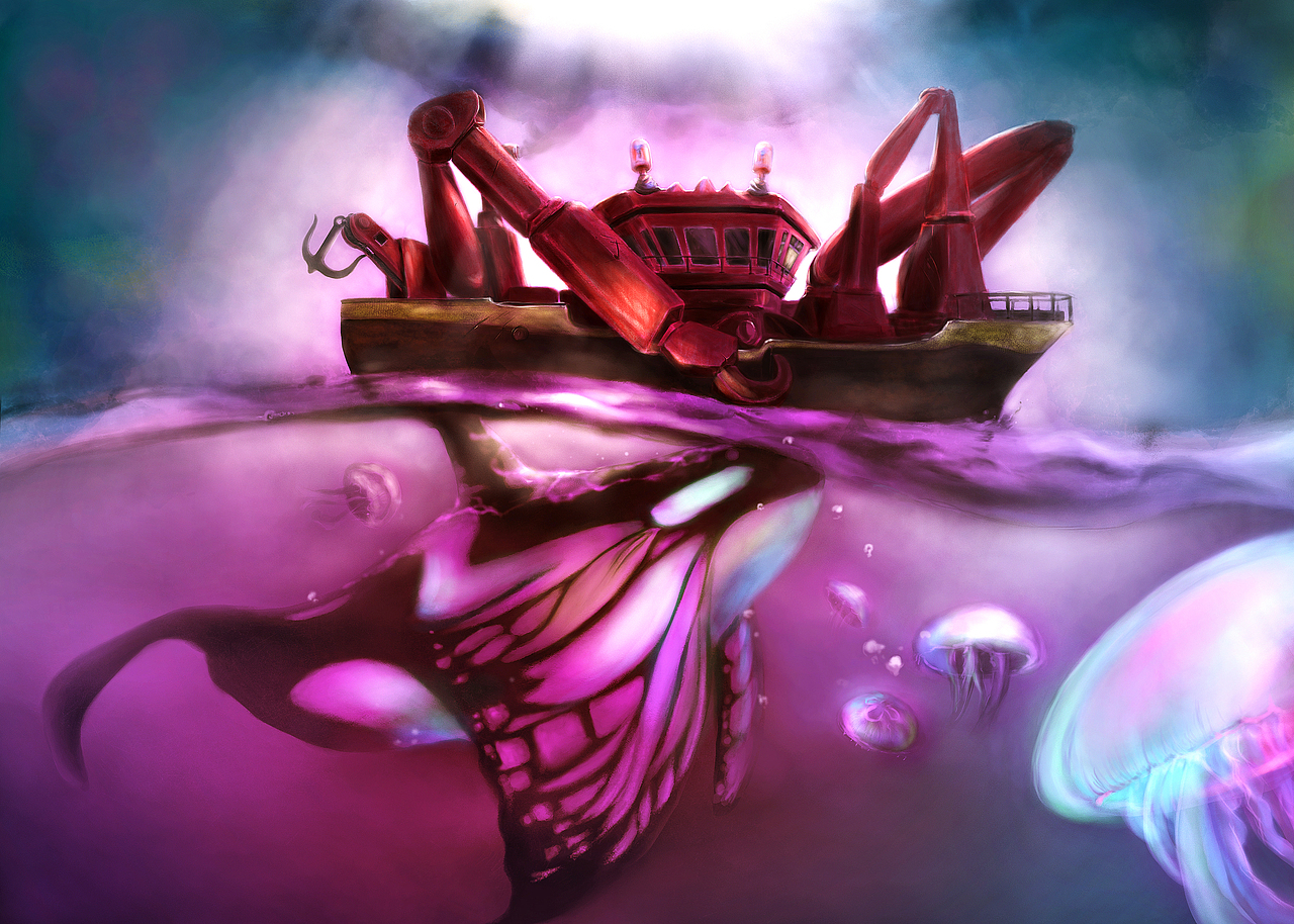 海鱼与渔船相爱,只是一场意外