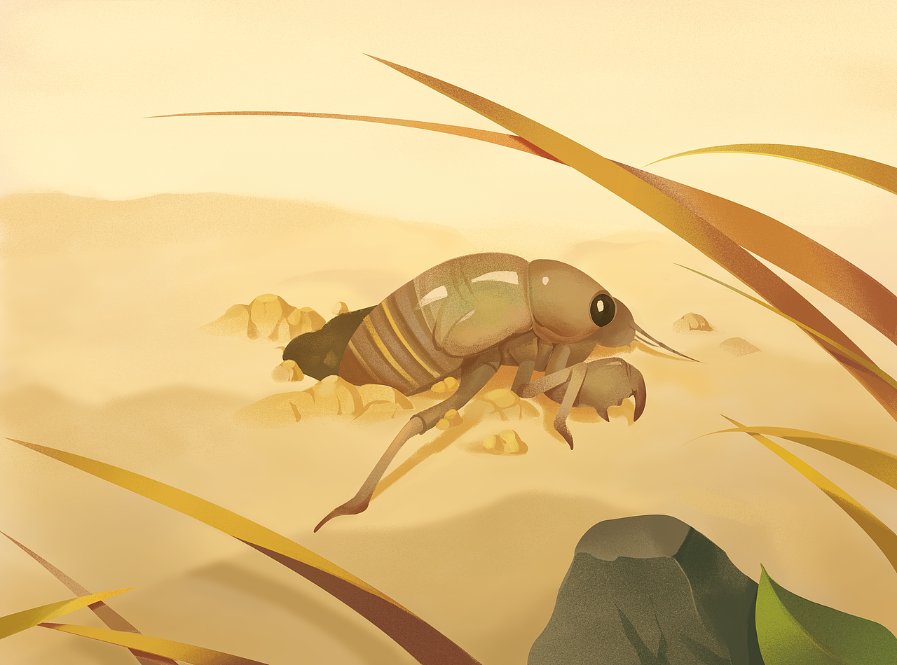 古代人物插画（图ZMjM5MzI3NjMy） - 商业插画 - 站酷设计师奈明原创素材 - 站酷ZCOOL