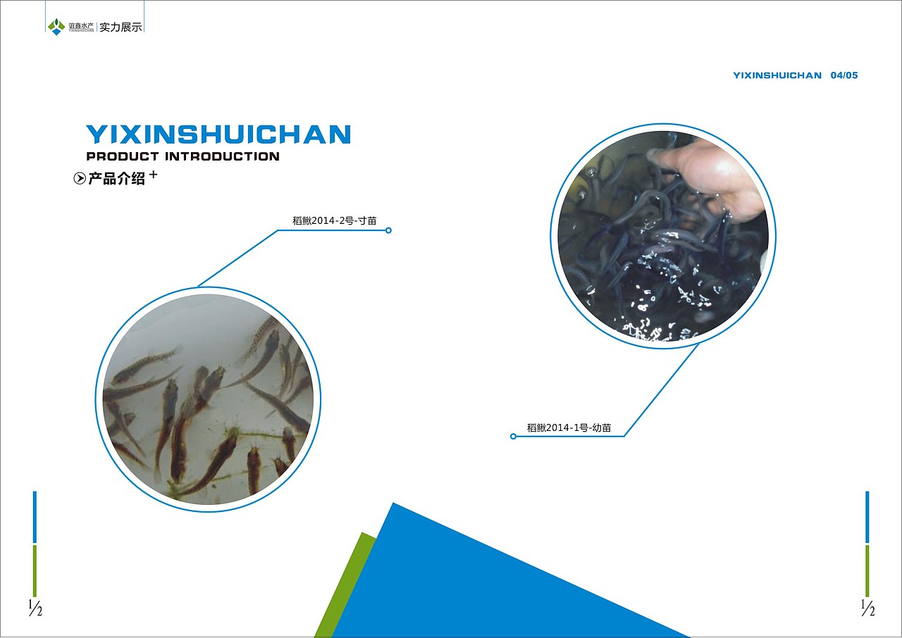 水产画册（图ZMTQzMTcxNDA=） - 书籍/画册 - 站酷设计师heyi原创素材 - 站酷ZCOOL