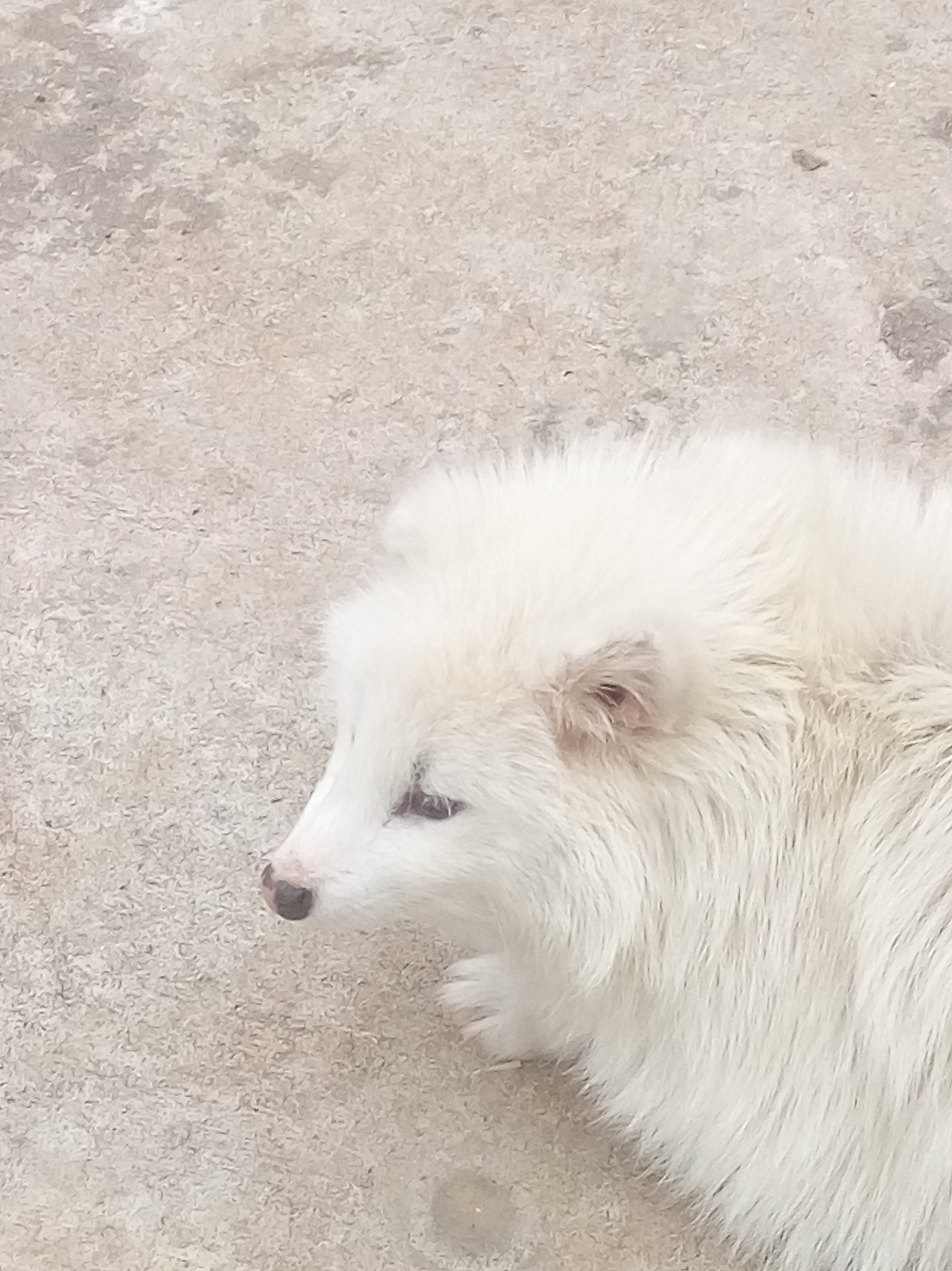 十里莲江（图ZMTM2MzM1MTQ4） - 产品摄影 - 站酷设计师嘟嘟2019原创素材 - 站酷ZCOOL