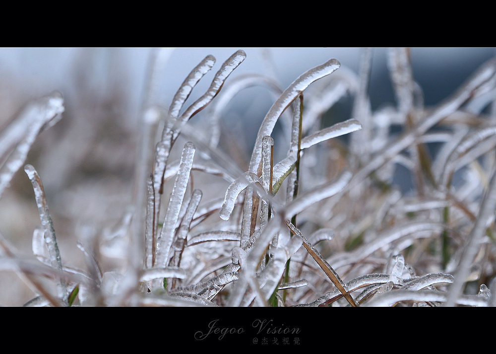 《那一场风花雪月的事》