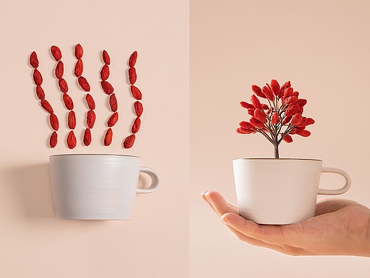 枸杞-养生类电商美食摄影 美食摄影学员作品