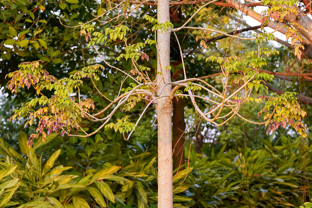 户外风光摄影-生活中处处是美景
