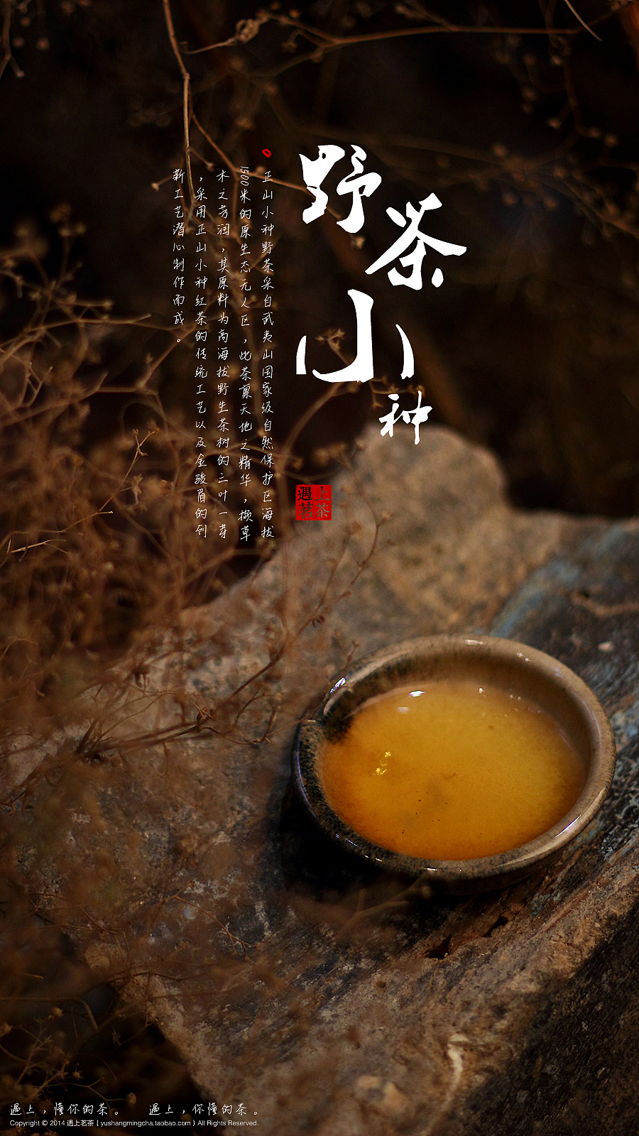 给厦门“遇上茗茶”店拍摄的“野茶小种”