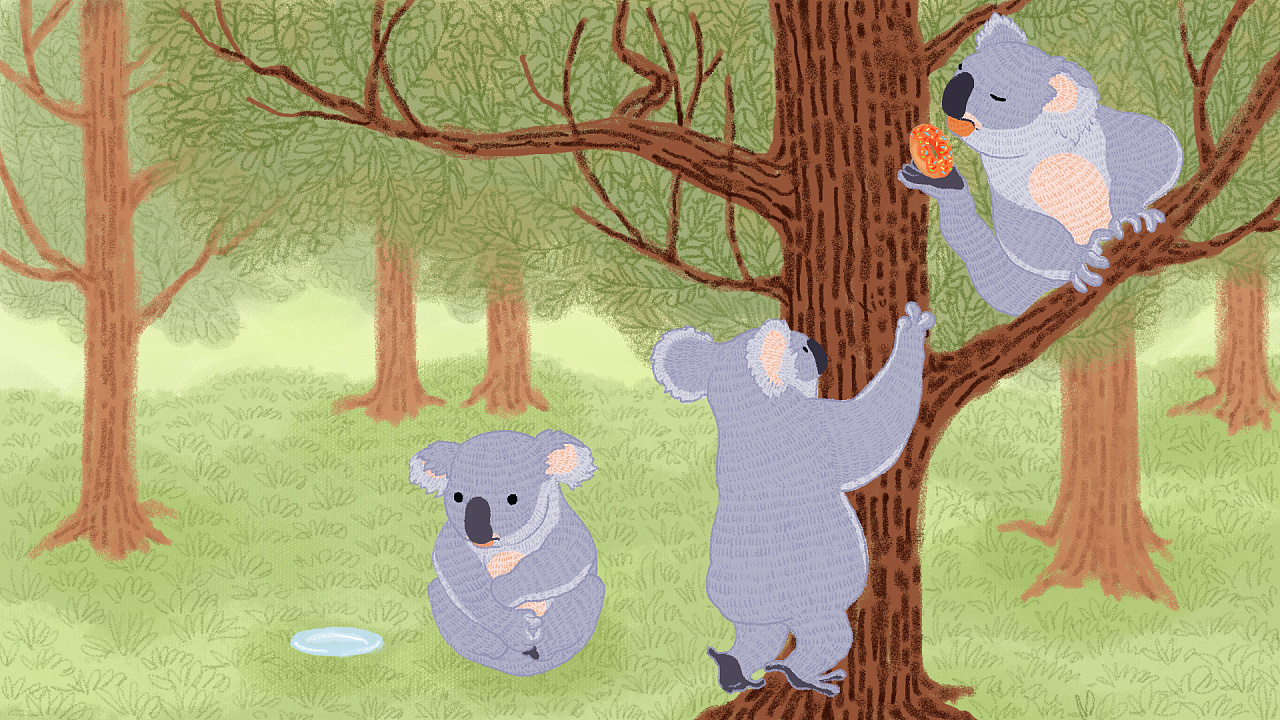 插画——考拉的日常(一)