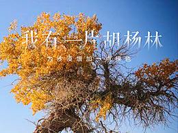 公益活動(dòng)