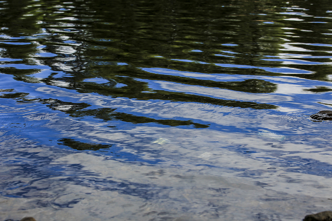 静静的湖面荡起了涟漪