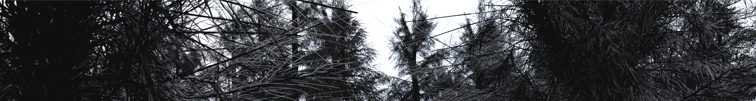 yzccccccccc的個人主頁（封面預(yù)覽） - 主頁封面設(shè)置 - 站酷設(shè)計師yzccccccccc原創(chuàng)素材 - 站酷ZCOOL