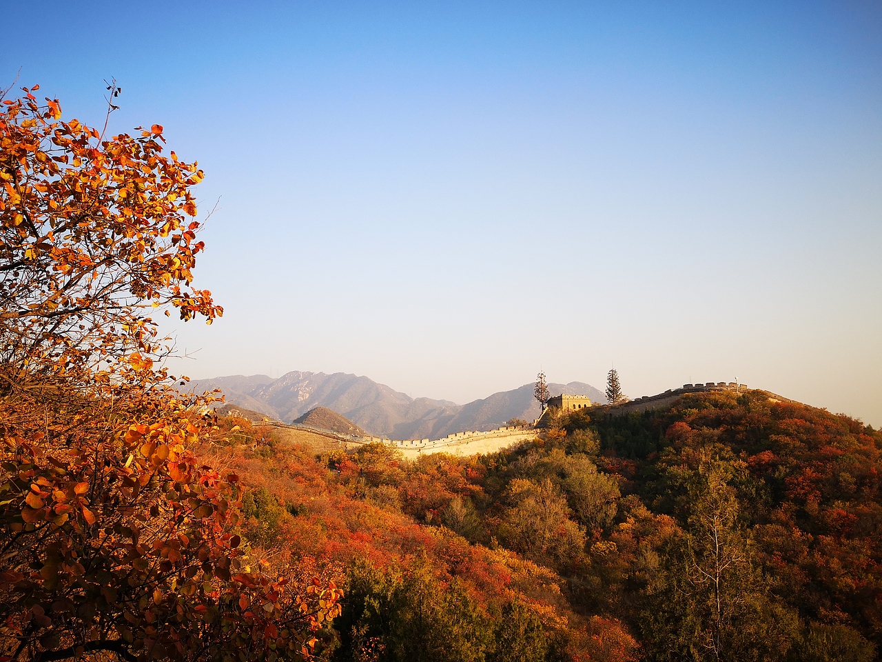 漫山红遍（图ZMTgyMzQxMTU2） - 风光摄影 - 站酷设计师小甜甜七里香原创素材 - 站酷ZCOOL